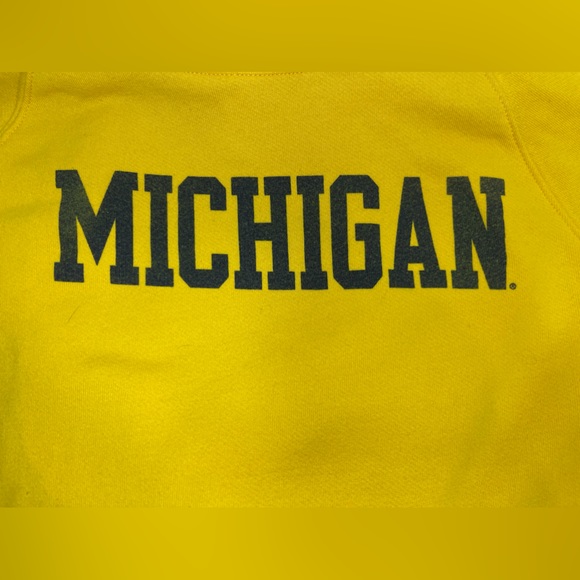 Champion University of Michigan Yellow Basic Arch Hooded Sweatshirt XL Youth - Picture 4 of 4